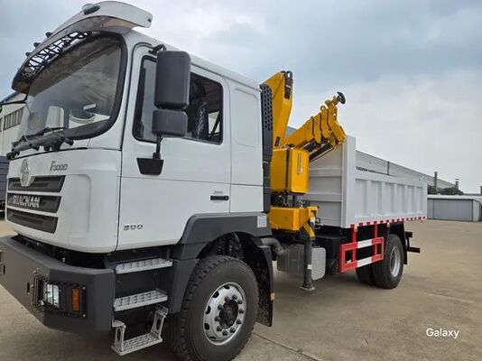kopen Shacman Custom Cargo Trailer Tractor Telescopic Arm Crane Tipper Dump Truck Head online manufacture