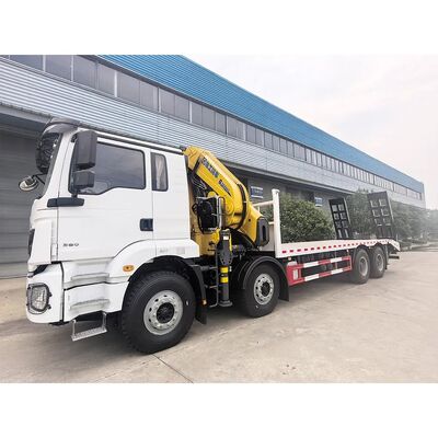 comprare Disegno distintivo Shacman personalizzare camion gru braccio telescopico per l'industria dei lavori municipali online manufacture