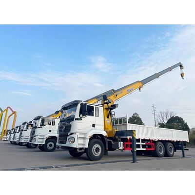 Buy Shacman Customize Cargo Transport Garbage Compression Tractor Crane Dump Truck online manufacture