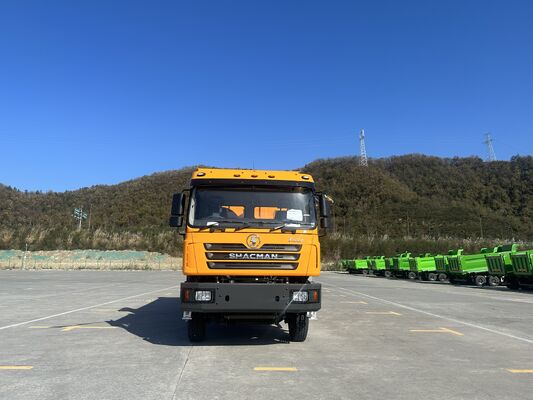 comprare Shacman Personalizzato 380HP Camion Ribaltabile per Trasporto Merci online manufacture