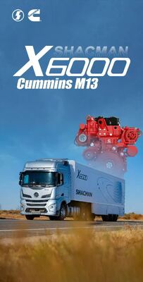 Comprar SHACMAN X6000 4×2 480HP Potente cabezal tractor para cargas pesadas Prime Mover online manufacture